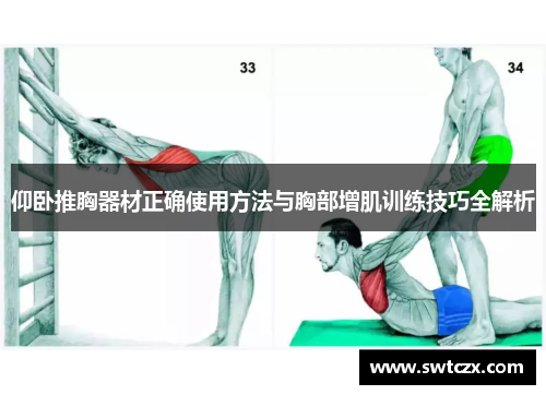 仰卧推胸器材正确使用方法与胸部增肌训练技巧全解析