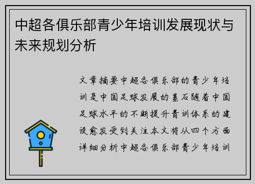 中超各俱乐部青少年培训发展现状与未来规划分析
