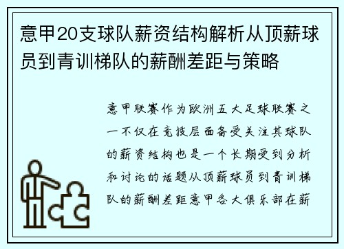 意甲20支球队薪资结构解析从顶薪球员到青训梯队的薪酬差距与策略