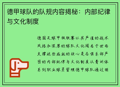 德甲球队的队规内容揭秘：内部纪律与文化制度